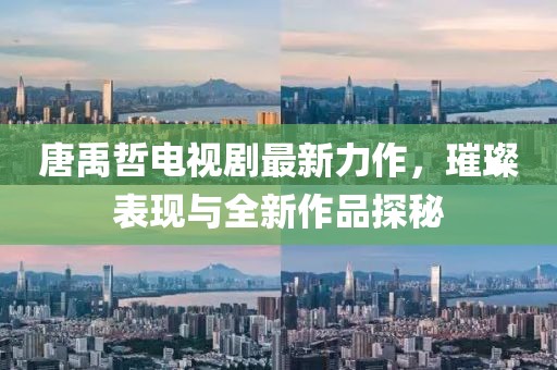 唐禹哲电视剧最新力作，璀璨表现与全新作品探秘