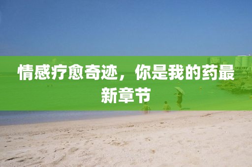 情感疗愈奇迹，你是我的药最新章节