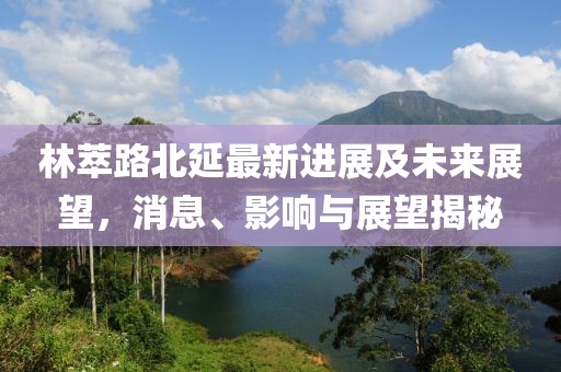 林萃路北延最新进展及未来展望，消息、影响与展望揭秘