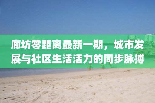 廊坊零距离最新一期，城市发展与社区生活活力的同步脉搏