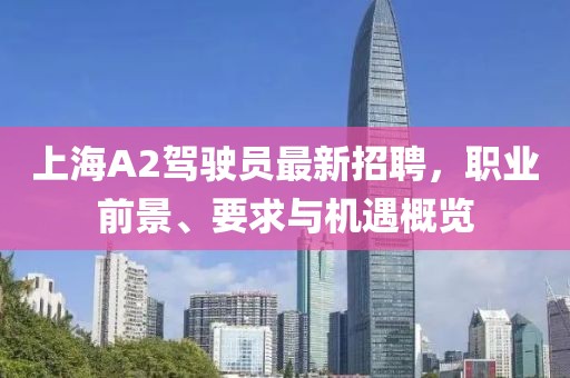 上海A2驾驶员最新招聘，职业前景、要求与机遇概览