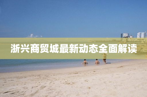 浙兴商贸城最新动态全面解读