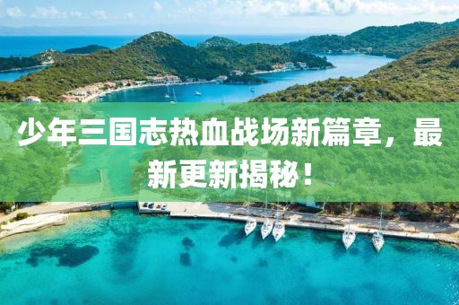 少年三国志热血战场新篇章，最新更新揭秘！
