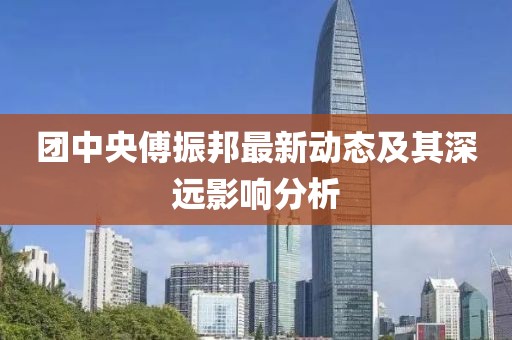 团中央傅振邦最新动态及其深远影响分析