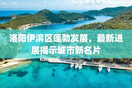 洛阳伊滨区蓬勃发展，最新进展揭示城市新名片