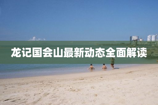 龙记国会山最新动态全面解读