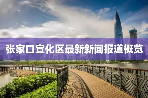 张家口宣化区最新新闻报道概览