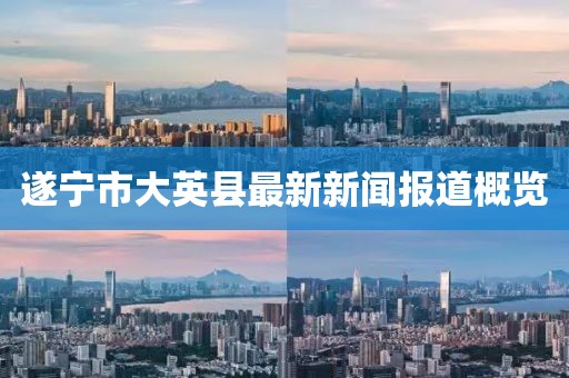 遂宁市大英县最新新闻报道概览
