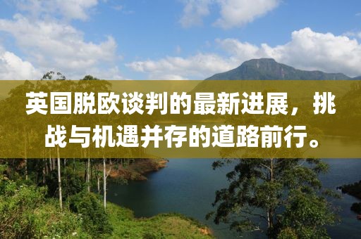 英国脱欧谈判的最新进展，挑战与机遇并存的道路前行。
