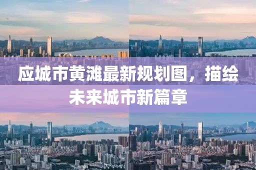 应城市黄滩最新规划图，描绘未来城市新篇章