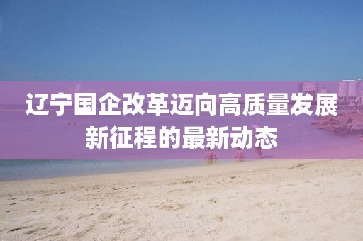 辽宁国企改革迈向高质量发展新征程的最新动态