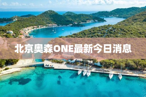 北京奥森ONE最新今日消息