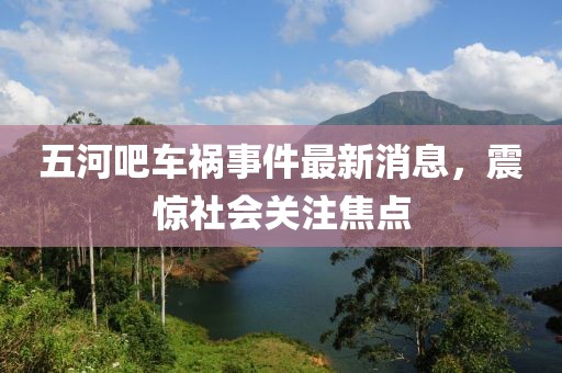 五河吧车祸事件最新消息，震惊社会关注焦点