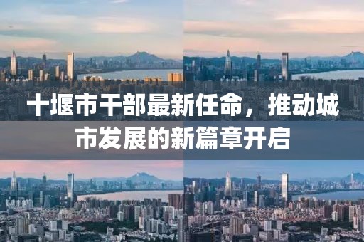 十堰市干部最新任命，推动城市发展的新篇章开启