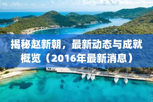 揭秘赵新朝，最新动态与成就概览（2016年最新消息）