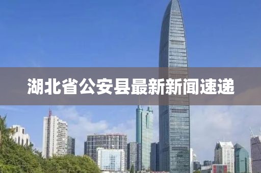 独傲 第5页