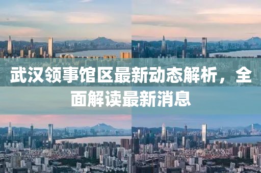 武汉领事馆区最新动态解析，全面解读最新消息