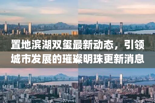 置地滨湖双玺最新动态，引领城市发展的璀璨明珠更新消息