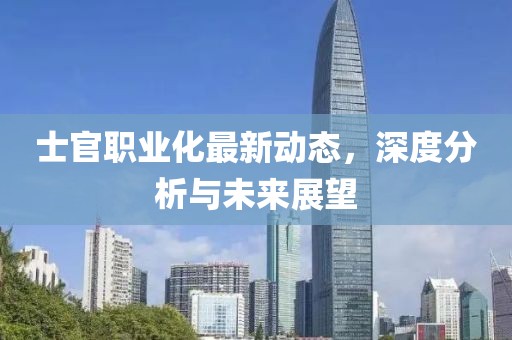 士官职业化最新动态，深度分析与未来展望