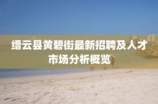 缙云县黄碧街最新招聘及人才市场分析概览