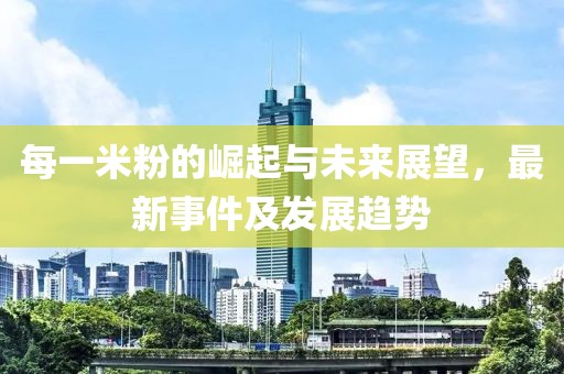 每一米粉的崛起与未来展望，最新事件及发展趋势