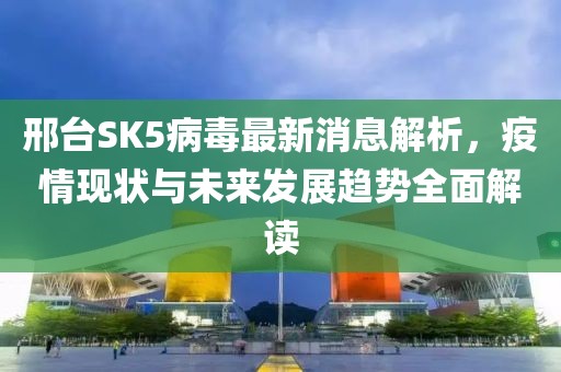 邢台SK5病毒最新消息解析，疫情现状与未来发展趋势全面解读