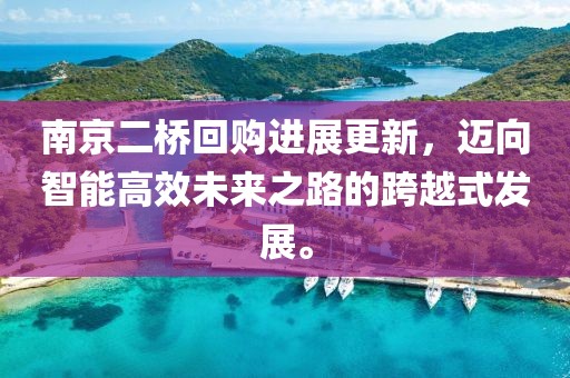 南京二桥回购进展更新，迈向智能高效未来之路的跨越式发展。