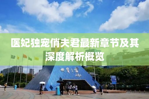 医妃独宠俏夫君最新章节及其深度解析概览