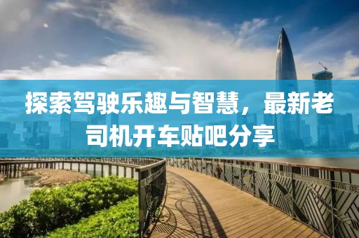 探索驾驶乐趣与智慧，最新老司机开车贴吧分享
