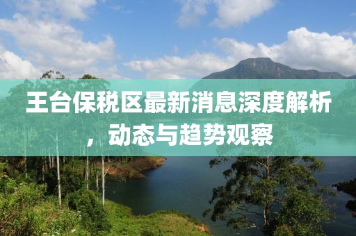 王台保税区最新消息深度解析，动态与趋势观察