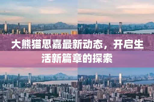 大熊猫思嘉最新动态，开启生活新篇章的探索