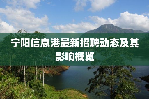 宁阳信息港最新招聘动态及其影响概览