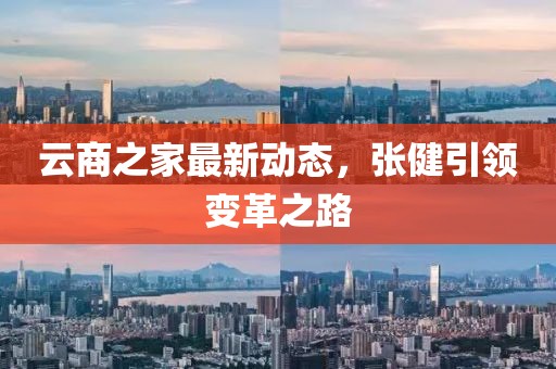 云商之家最新动态，张健引领变革之路