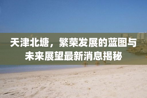天津北塘，繁荣发展的蓝图与未来展望最新消息揭秘
