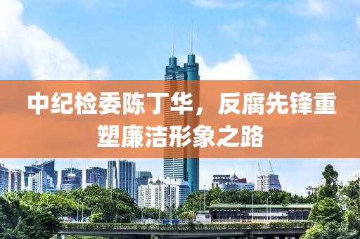 中纪检委陈丁华，反腐先锋重塑廉洁形象之路