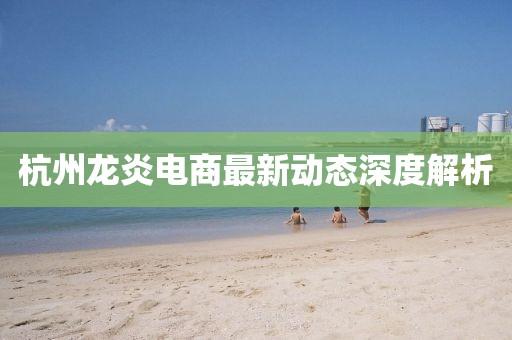 杭州龙炎电商最新动态深度解析