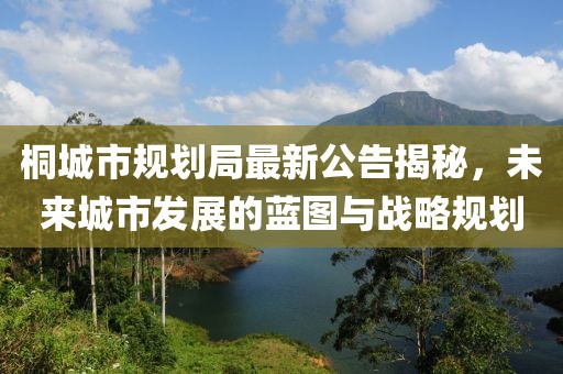 桐城市规划局最新公告揭秘，未来城市发展的蓝图与战略规划