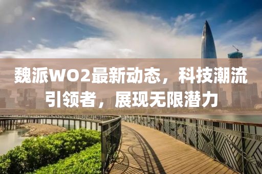 魏派WO2最新动态，科技潮流引领者，展现无限潜力