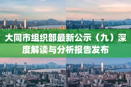 大同市组织部最新公示（九）深度解读与分析报告发布