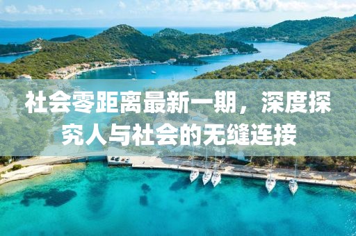 社会零距离最新一期，深度探究人与社会的无缝连接