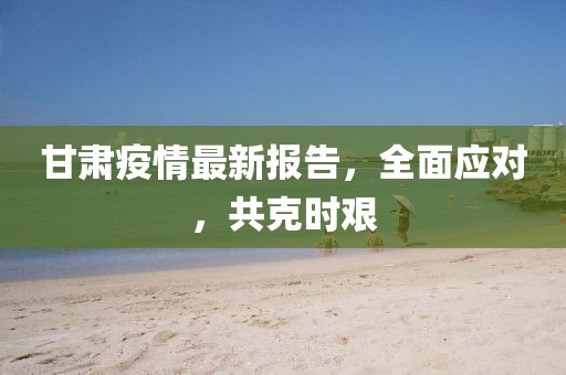 甘肃疫情最新报告，全面应对，共克时艰