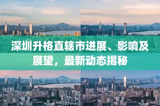 深圳升格直辖市进展、影响及展望，最新动态揭秘