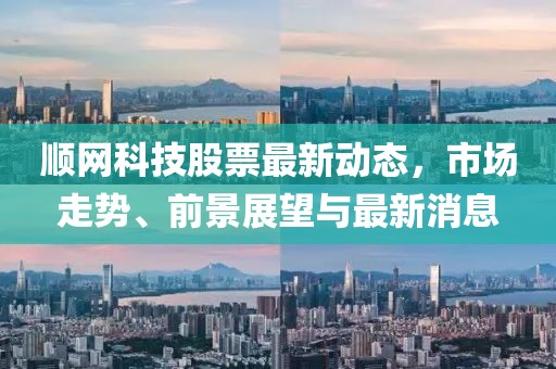 顺网科技股票最新动态，市场走势、前景展望与最新消息