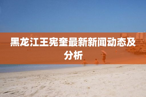 黑龙江王宪奎最新新闻动态及分析