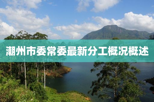 潮州市委常委最新分工概况概述
