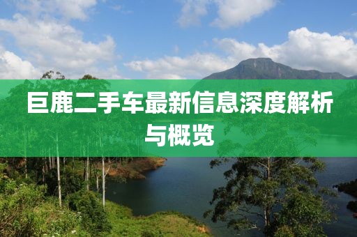 巨鹿二手车最新信息深度解析与概览