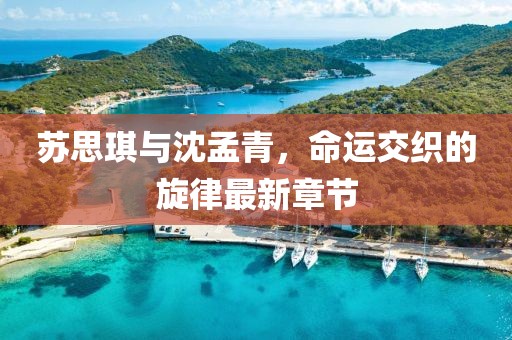 苏思琪与沈孟青，命运交织的旋律最新章节