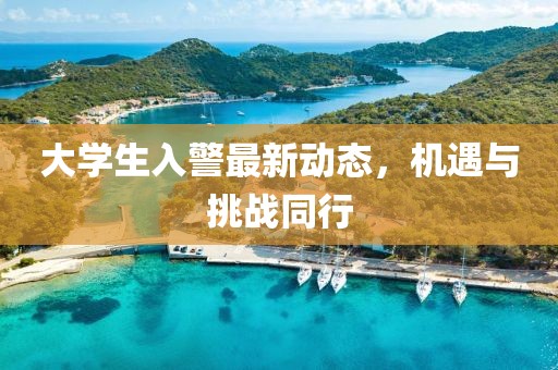 大学生入警最新动态，机遇与挑战同行