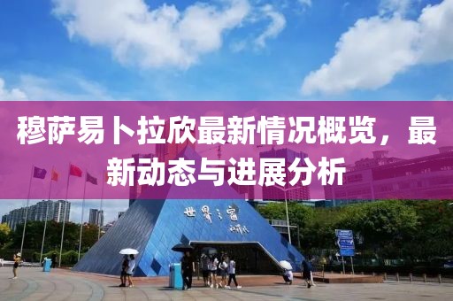穆萨易卜拉欣最新情况概览，最新动态与进展分析