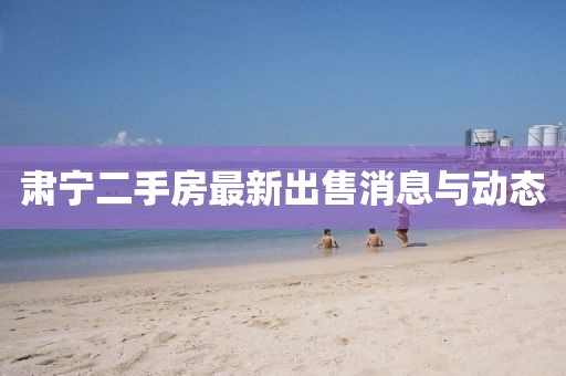 秋夜枫叶 第4页